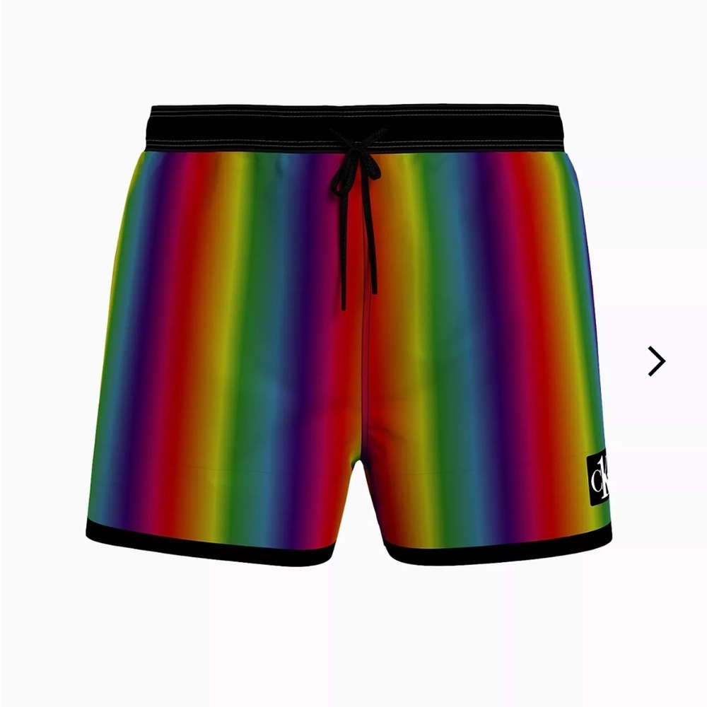 Calvin Klein | Festival Swim Shorts in Silver Cloud Aluminum Rainbow (Small) - Picture 2 of 8